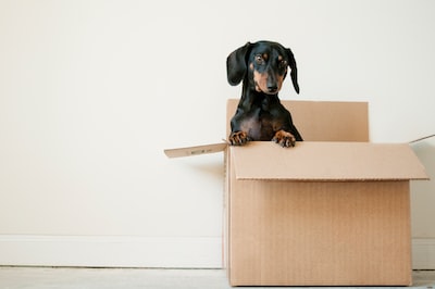 2 Tips for Choosing the Best Moving Company in Winnipeg