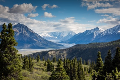 Winnipeg Guide: From Prairie to Urban Living