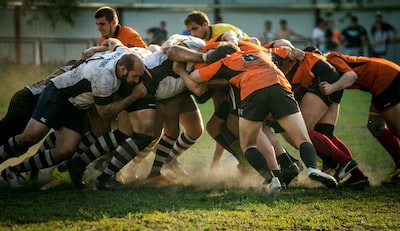 Battle of the Best: Winnipegs Top Moving Companies Revealed