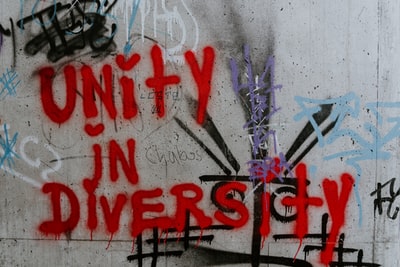 Breaking Barriers: Embracing Diversity in Winnipegs Newcomer Communities
