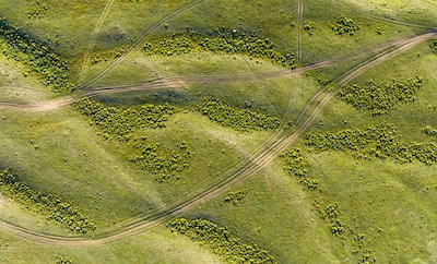 Winnipeg Wonders: Comparing Job Opportunities in the Heart of the Prairies