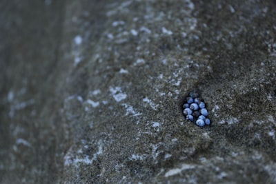 Hidden Treasures: Uncover Peg Citys Neighbor Gems Now!