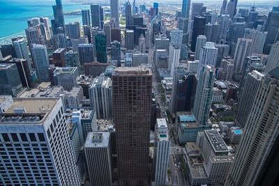 Navigating the Urban Jungle: Peg City Moving Tips