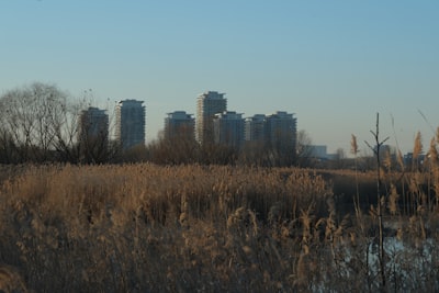 Accessing Your Future: Job Opportunities in Winnipeg