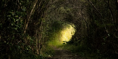 Uncover Winnipegs Best-Kept Secrets You Wont Believe Exist!